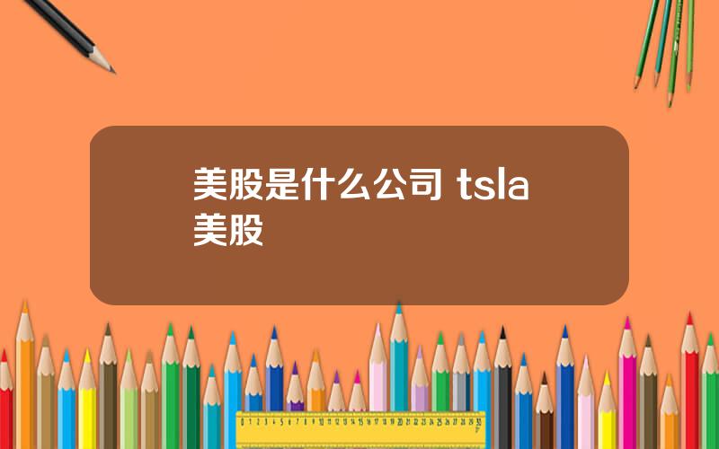 美股是什么公司 tsla美股